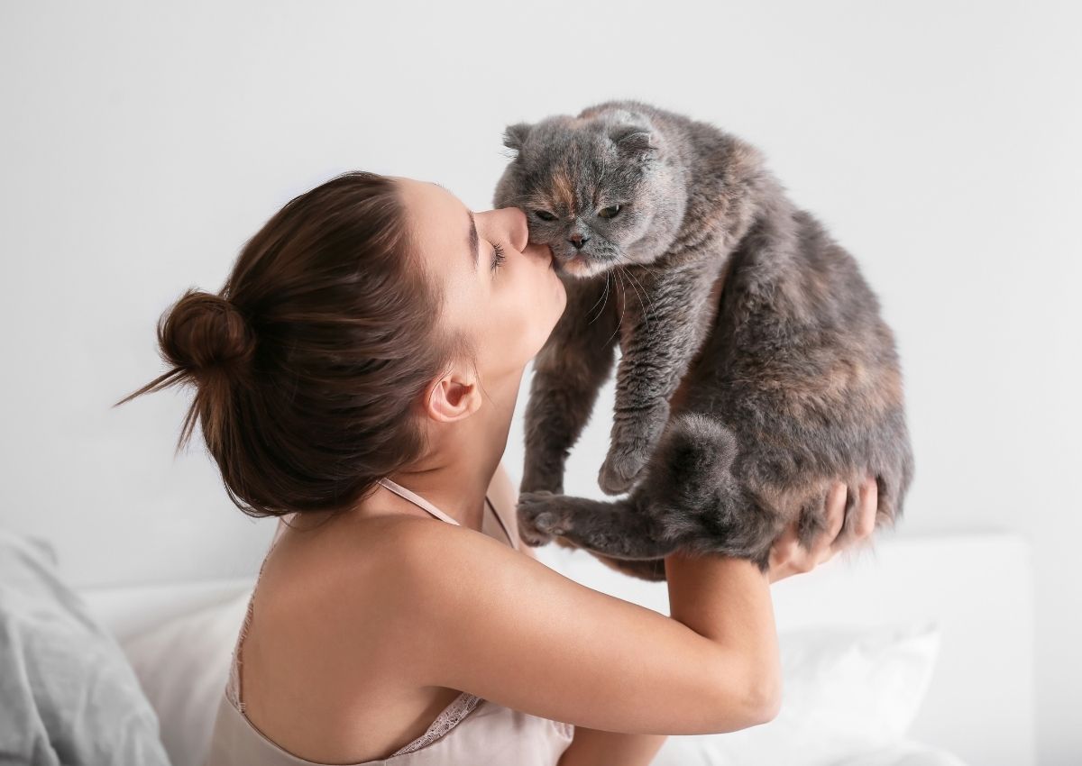 Person nose-to-nose with Scottish Fold White Swiss Shepherd dog portrait