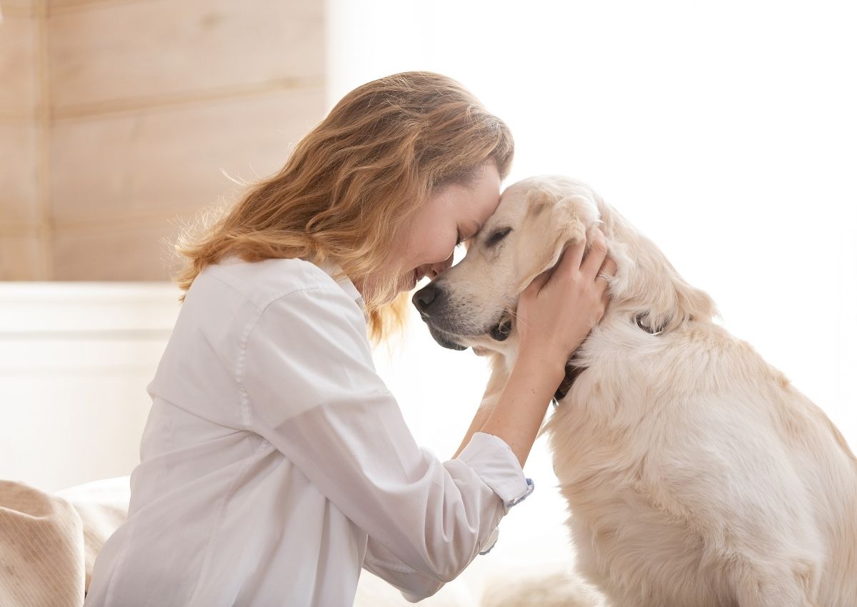 girl is hugging a white dog